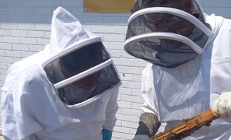 st johns shopping centre liverpool bee keepers
