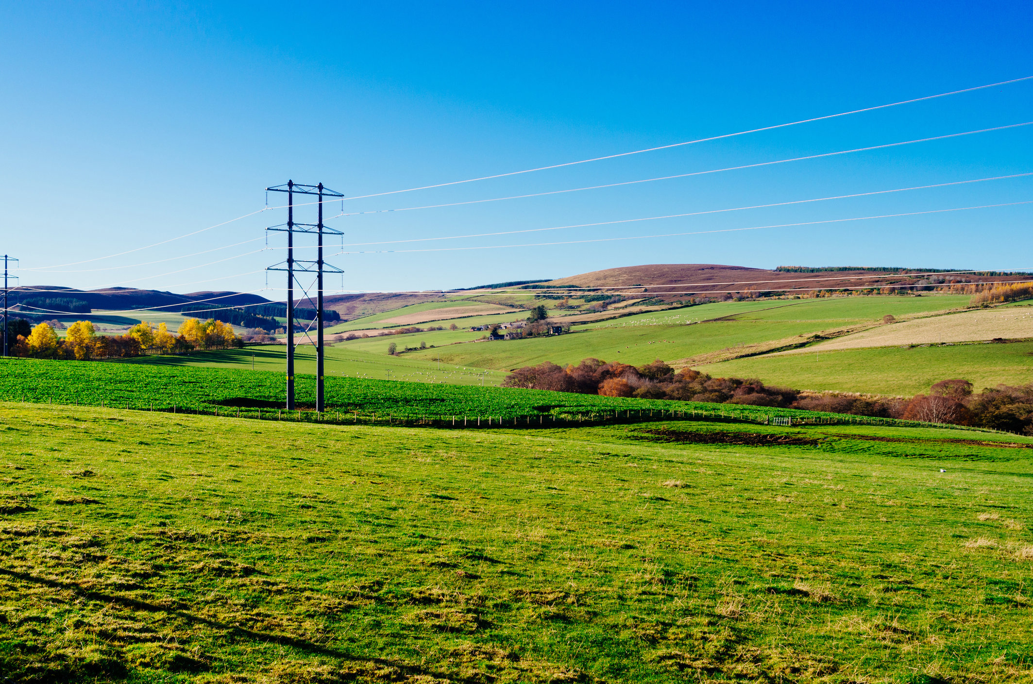 iStock-1284282844.jpg