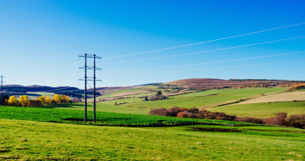 iStock-1284282844.jpg