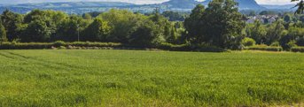 North Shropshire reinforcement