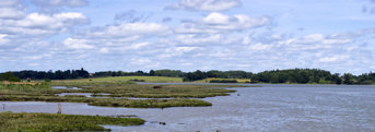iStock-483410904.jpg