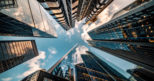 News - Procure Partnerships