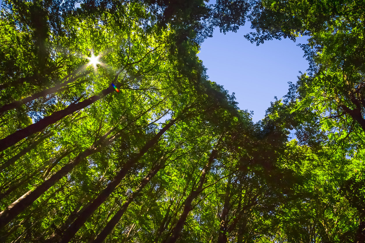 iStock-protecting our planet