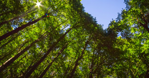 iStock-protecting our planet
