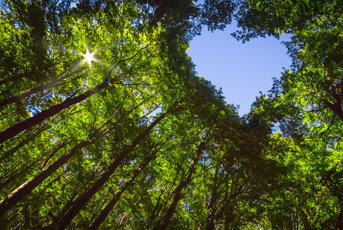 iStock-protecting our planet